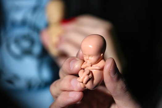 Kannatusilmoituksia kervn aloitteen mukaan abortti pitisi sallia ilman perusteluja 12. raskausviikolle saakka. (Shutterstock)