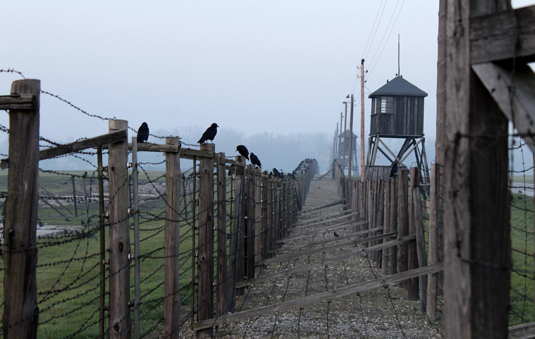 Puolassa toimi 400 gettoa ja useita keskitysleirej. Kuva Majdanekin keskitysleirilt. (Shutterstock) 