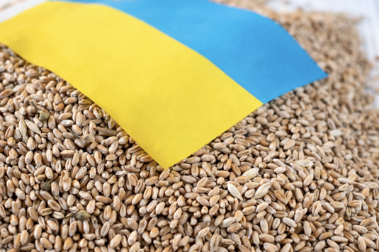 Ukrainan sota uhkaa maailman viljavarantoja erityisesti vehnn osalta. (Shutteretock)