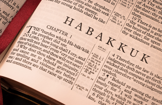 Jumala vastaa Habakukin valitukseen, mutta ei ollenkaan odotetulla tavalla. Habakuk ehk toivoi, ett jokin hengellinen hertys pyyhkisisi pahuuden ja epoikeudenmukaisuuden pois kansan keskelt, Marko Halttunen kirjoittaa.